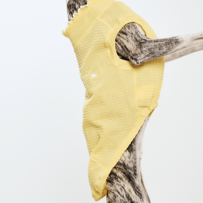 Pale yellow lightweight 3D pleated pet vest on small dog – Colorful Daily Series breathable Japanese fabric