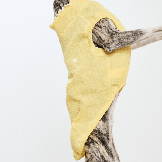 Pale yellow lightweight 3D pleated pet vest on small dog – Colorful Daily Series breathable Japanese fabric