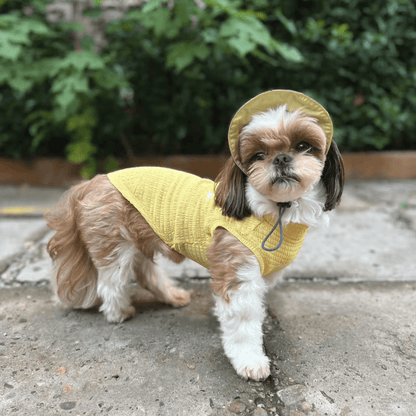 Side mid-shot of small dog walking outdoors while wearing pale-yellow Colorful Daily Series Wavy 3D Pleated Pet Vest