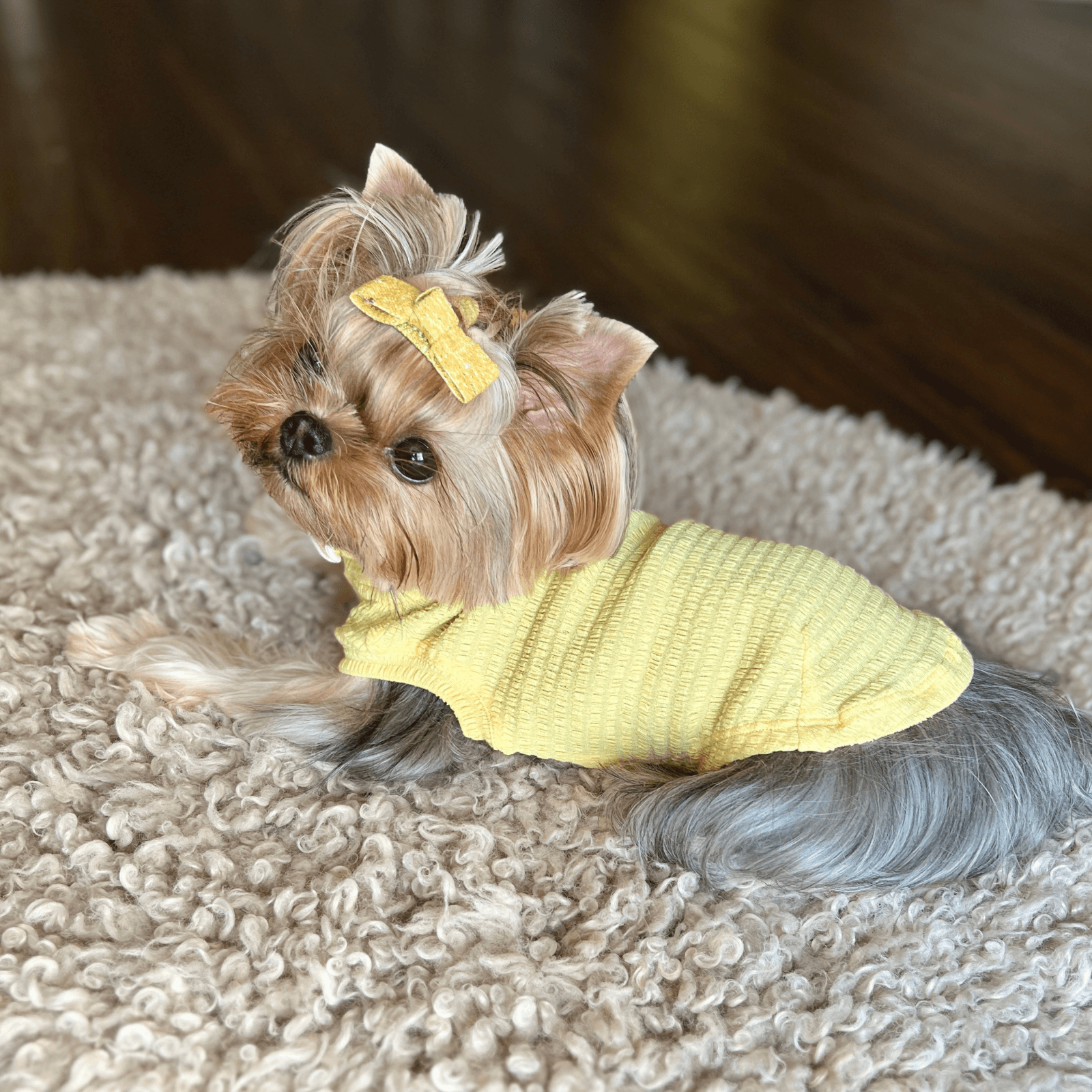 Yorkshire Terrier wearing pale-yellow Colorful Daily Series Wavy 3D Pleated Pet Vest, standing on carpet indoors