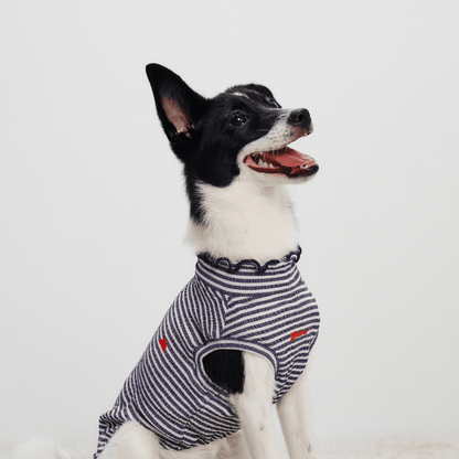Side view of small dog sitting and smiling while wearing striped Colorful Daily Series Wavy 3D Pleated Pet Vest