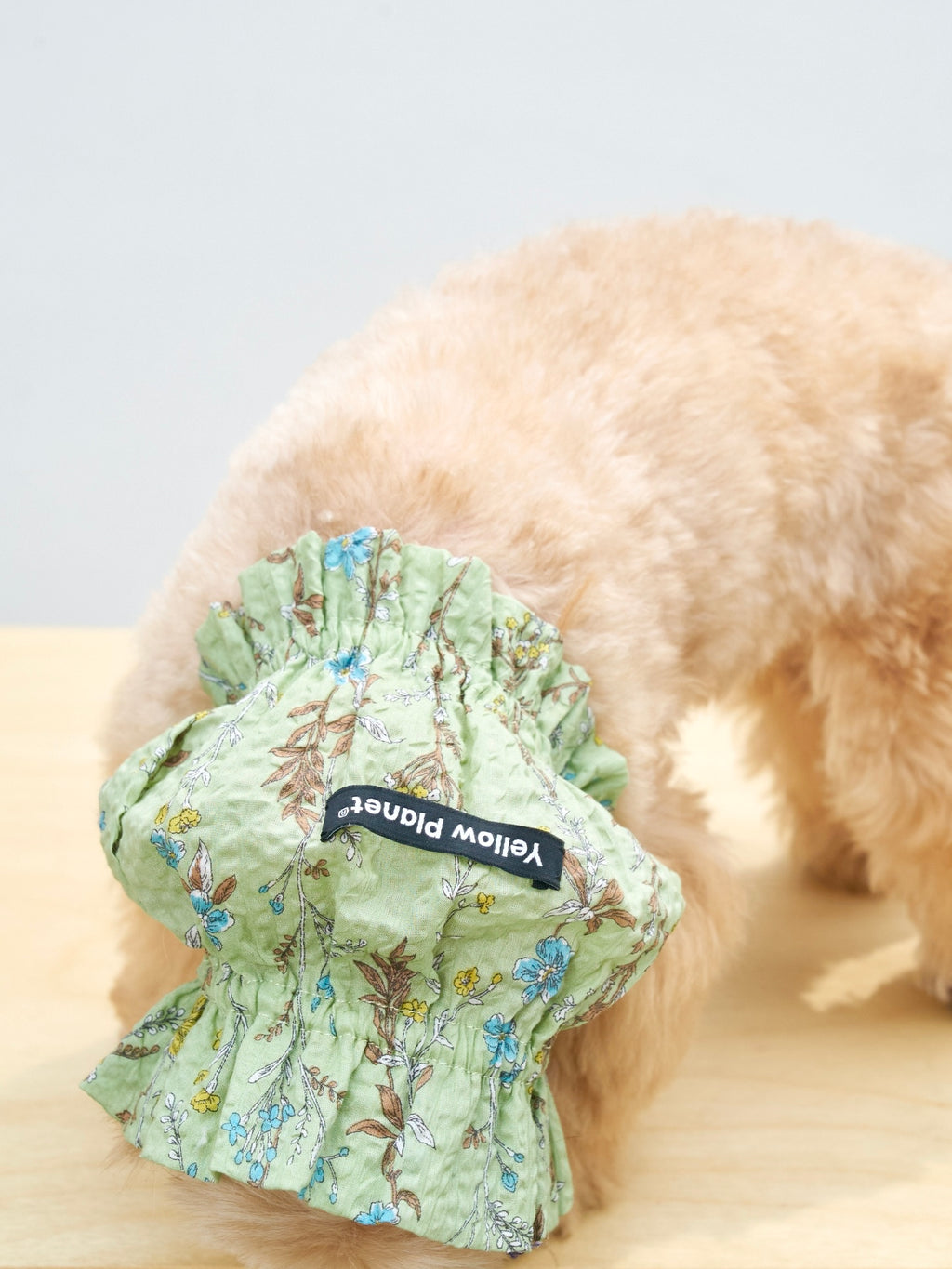 Cream-colored dog wearing the Colorful Daily Nature's Verse Gentle Wave Snood in Forest Green, showing the snood from a lower head position.