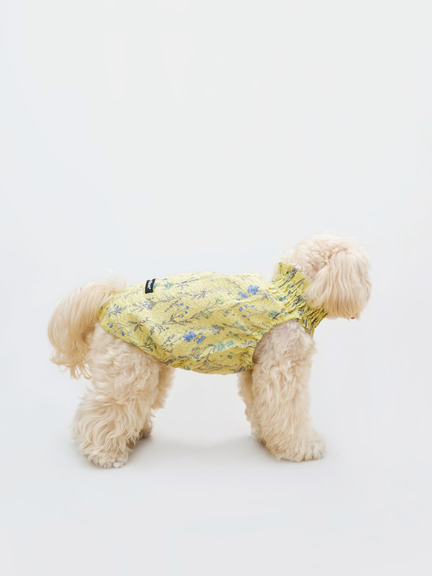 Side view of a cream-colored dog wearing the Colorful Daily Nature's Verse Gentle Wave Tank in Forest Yellow, showing the easy and comfortable fit.