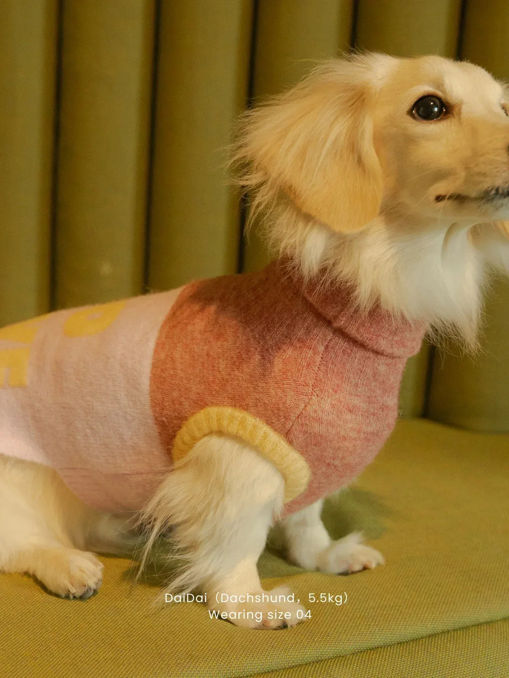 A side view of a long-haired Dachshund wearing the ultra-light Pink and Butter Yellow cuddly knit vest indoors.