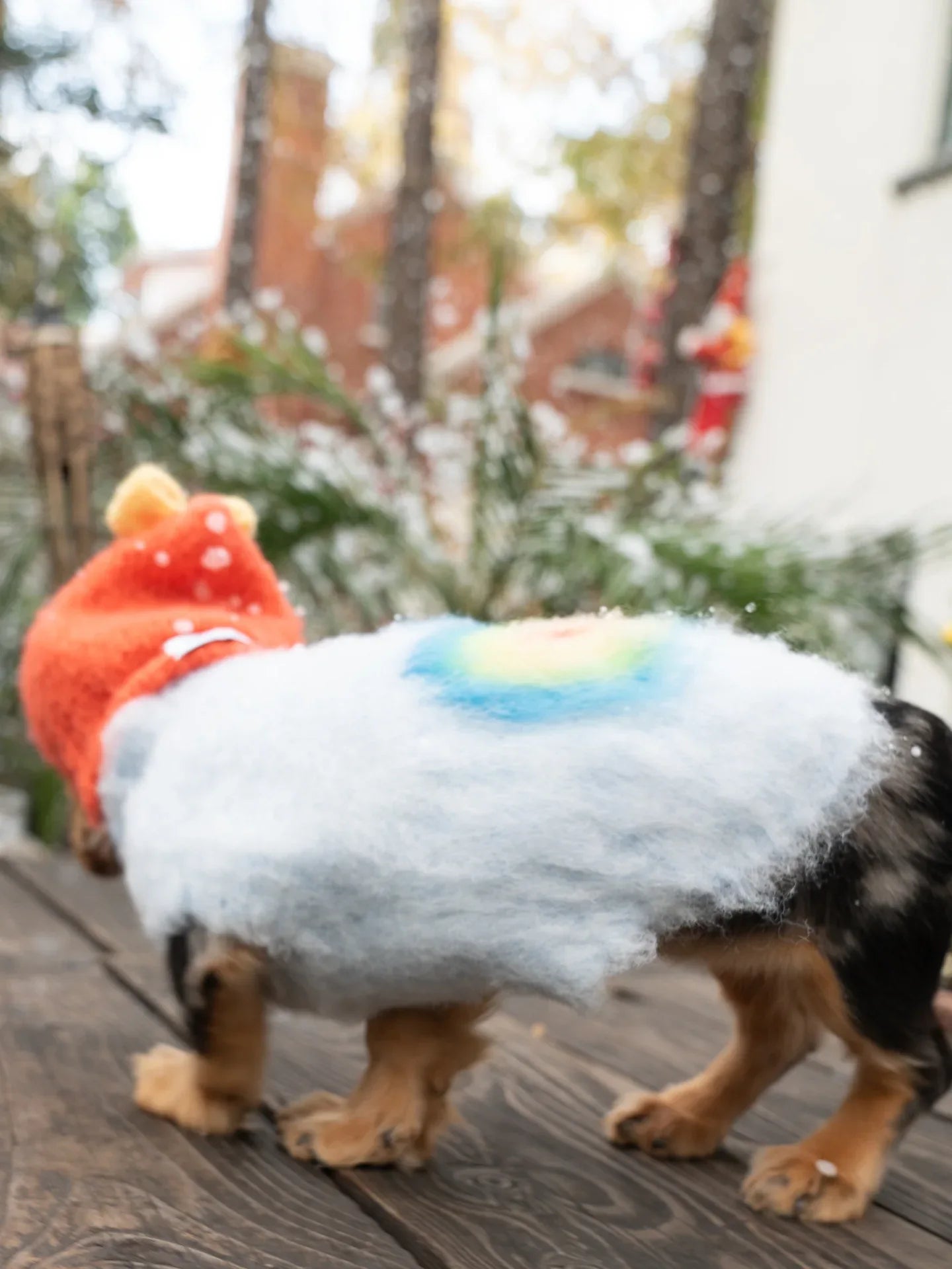 A Dachshund modeling the Persimmon Red wool beanie