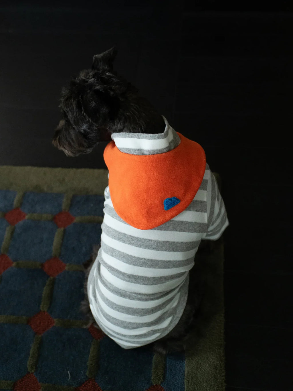 Colorful Daily Series Color Yarn-dyed Pet Bandana - Yellow Planet