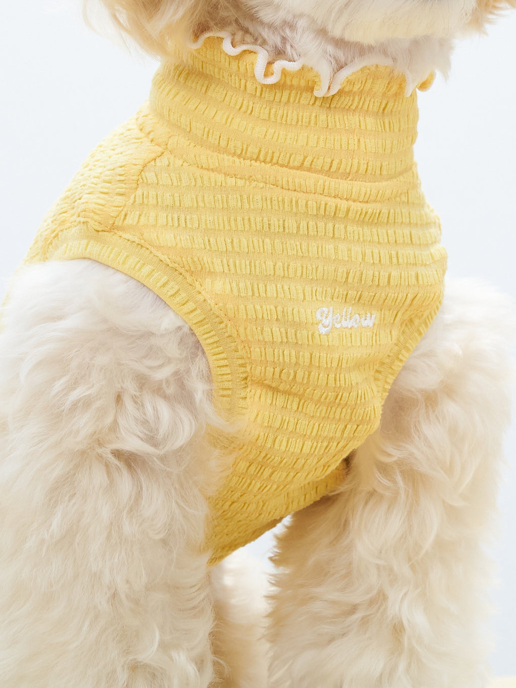 Front view of a small dog wearing the Colorful Daily AIRWave Tank in Pale Yellow.