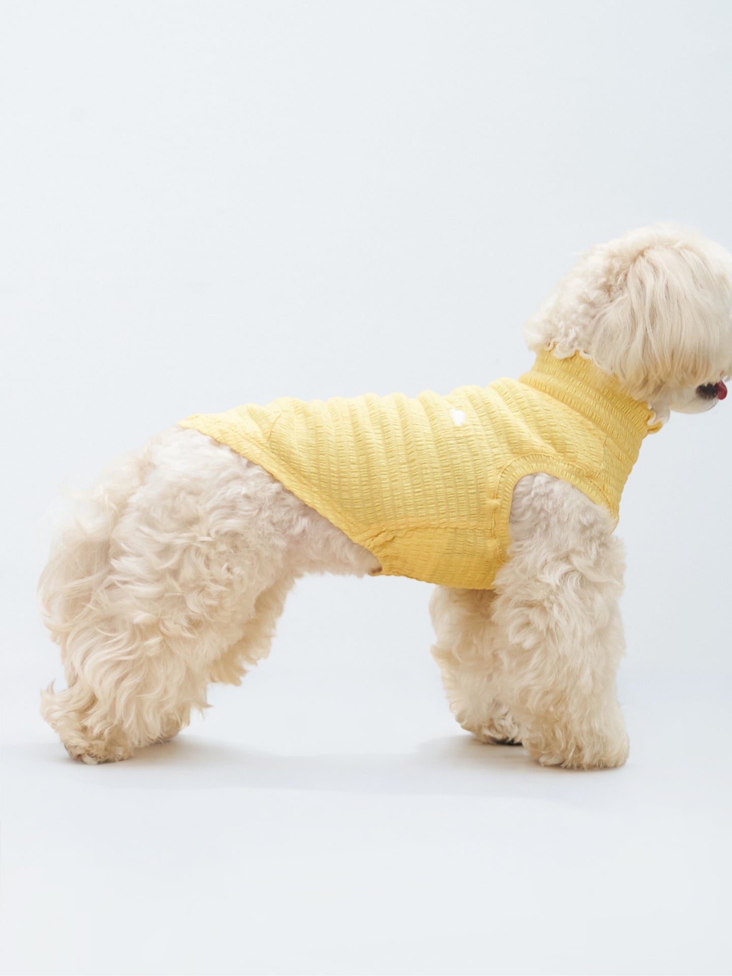 Side view of a small dog wearing the Colorful Daily AIRWave Tank in Pale Yellow.