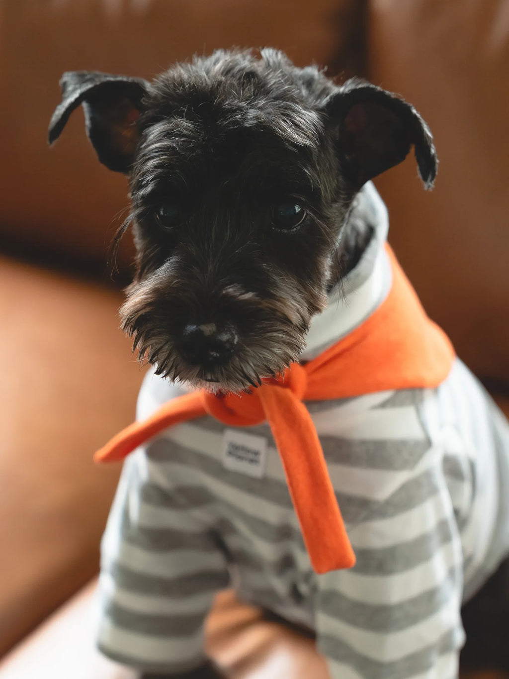Colorful Daily Series Color Yarn-dyed Pet Bandana - Yellow Planet
