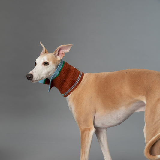 Color Heal Series Multifunctional Merino Wool Collar for Pets & Humans Vintage Chestnut Stripes