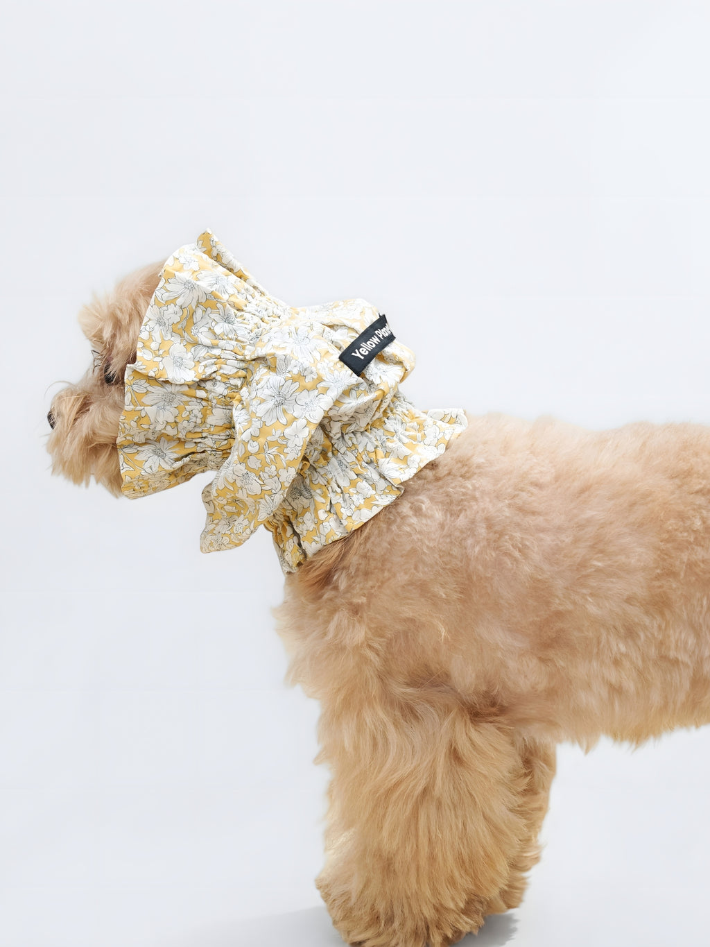 Side view of a small dog wearing the Daisy Gentle Wave dog ear snood.