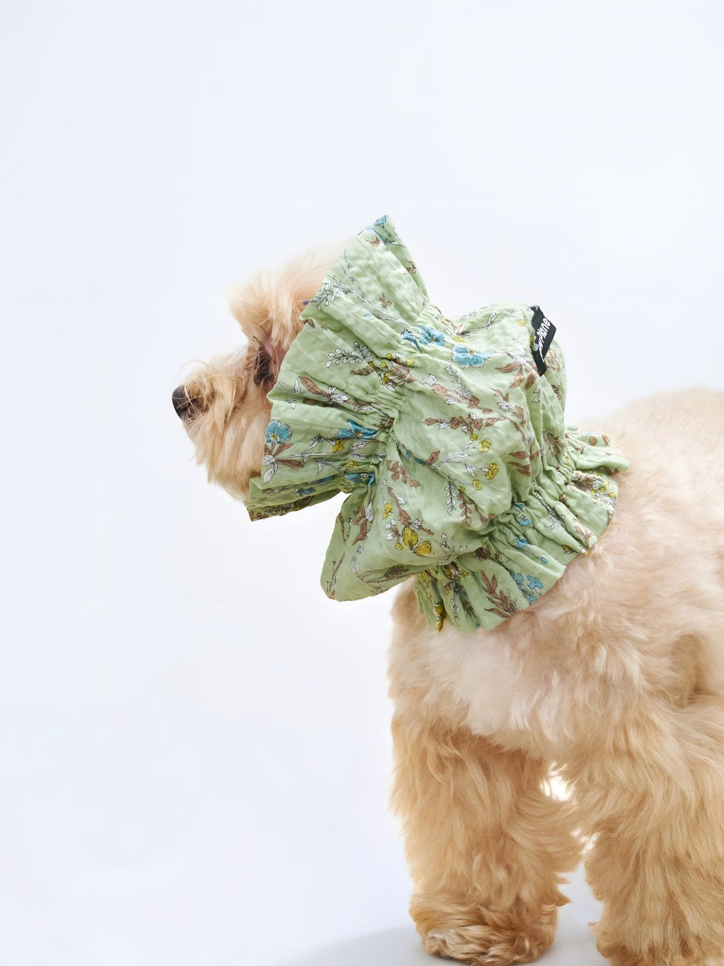Side view of a small dog wearing the Nature's Verse Gentle Wave dog ear snood in Forest Green.