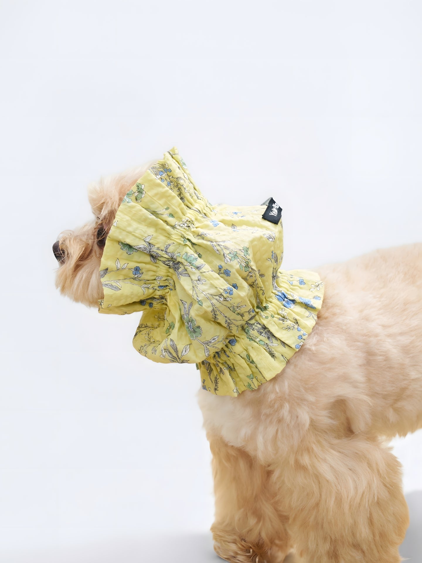 Side view of a small dog wearing the Forest Yellow Gentle Wave dog ear snood.