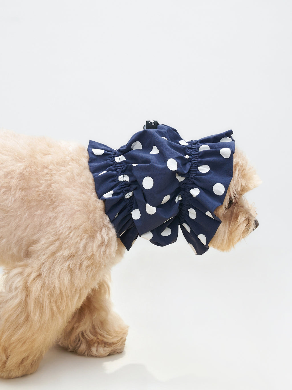 Rear side view of a small dog wearing the Oasis Polka Dot UV Cooling Dog Ear Snood in Navy.