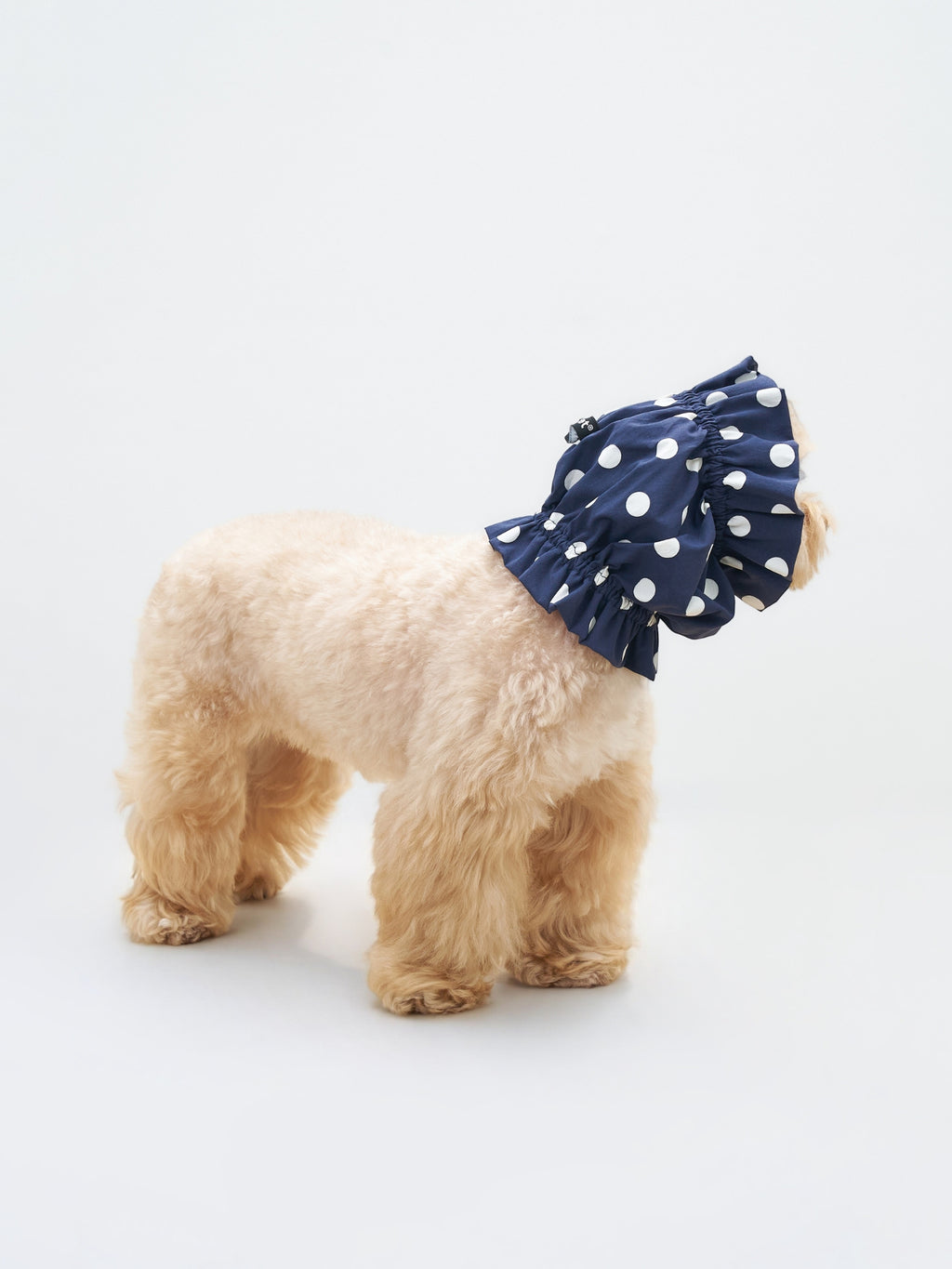 Side view of a small dog wearing the Oasis Polka Dot UV Cooling Dog Ear Snood in Navy.