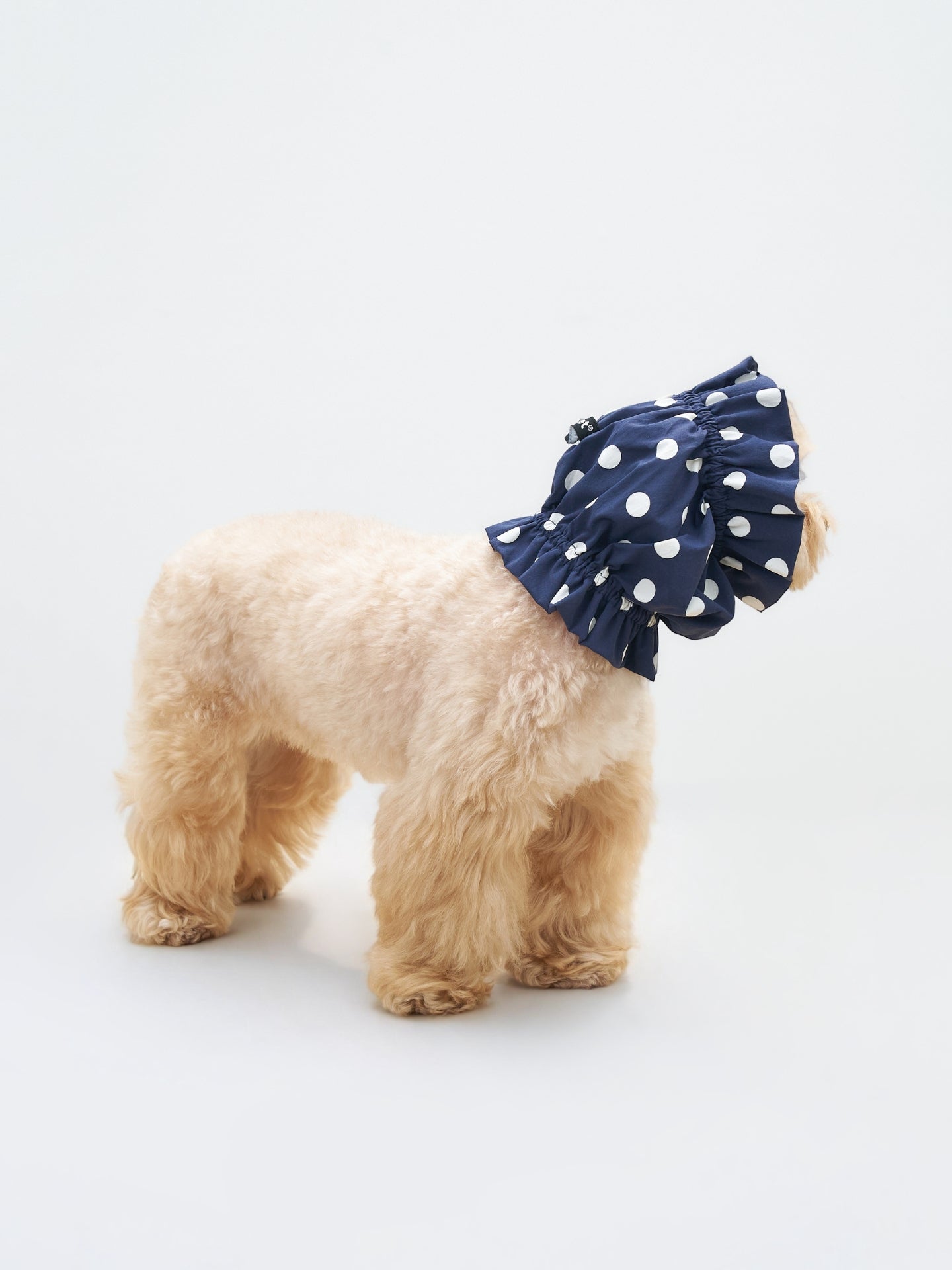Side view of a small dog wearing the Oasis Polka Dot UV Cooling Dog Ear Snood in Navy.