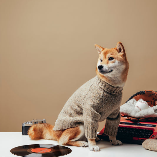 Gentle Dog Series Alpaca-Wool Tweed Pet Sweater