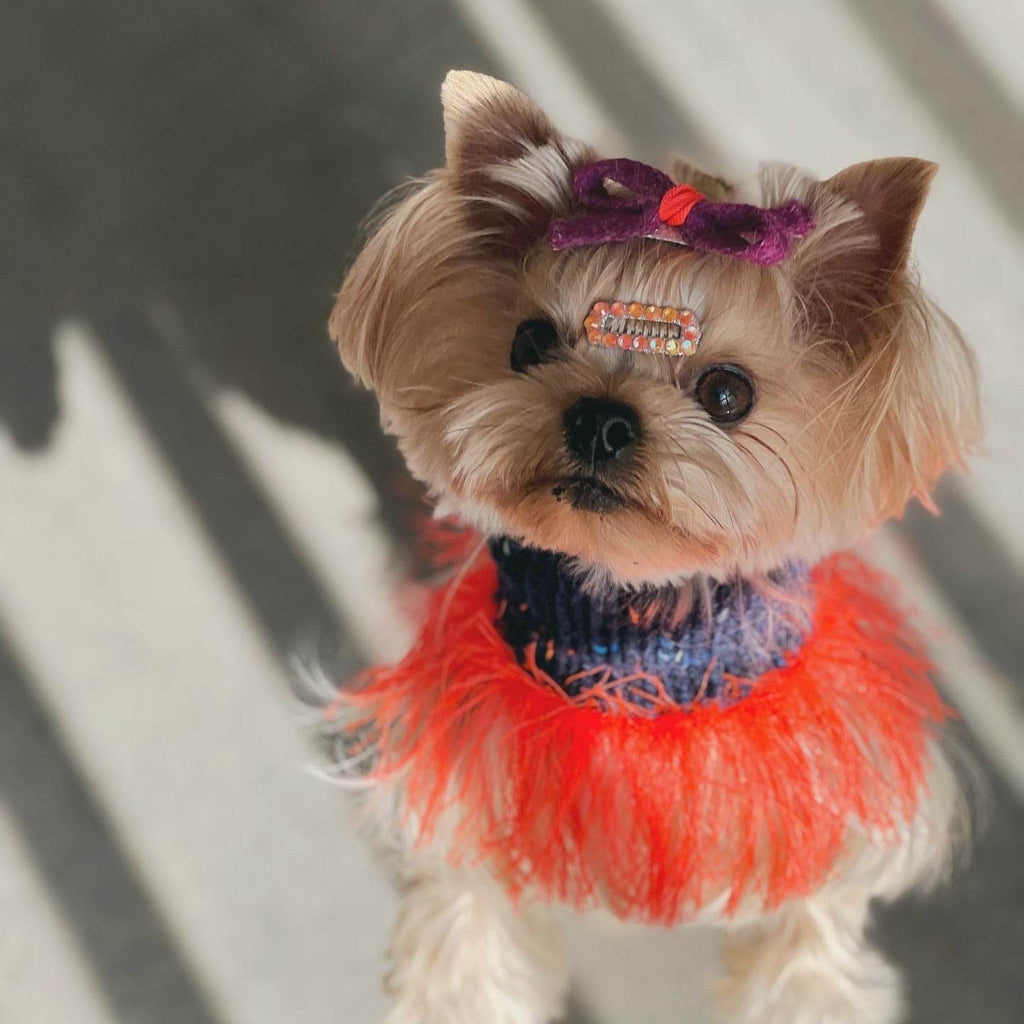Pawsome Granny Gang Handmade "Duality" Wool & Yarn Snood for Pets Navy Blue Mélange + Orange-Red Fringe