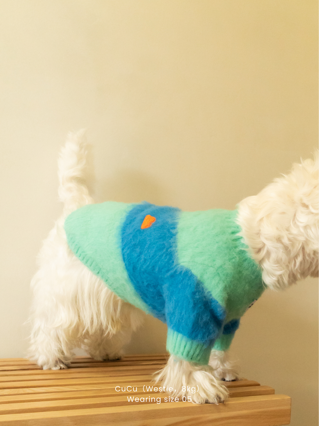 Side view of a West Highland White Terrier wearing the Fuwa Fuwa Series Artistic Color Block Brushed Pet Sweater indoors