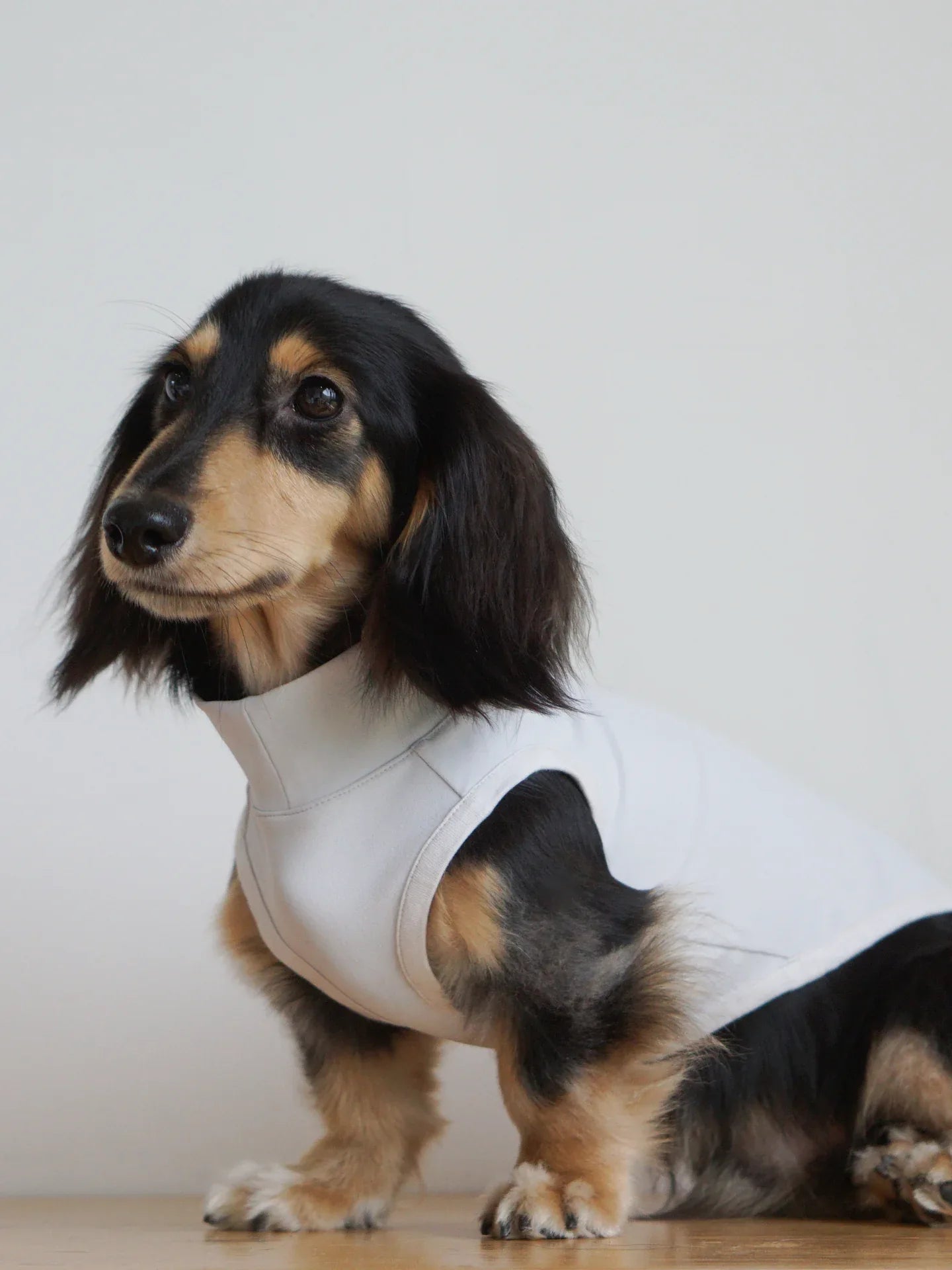 Profile view of a Dachshund wearing the L.Gray 5-in-1 UV protection vest, demonstrating fit for different dog breeds.