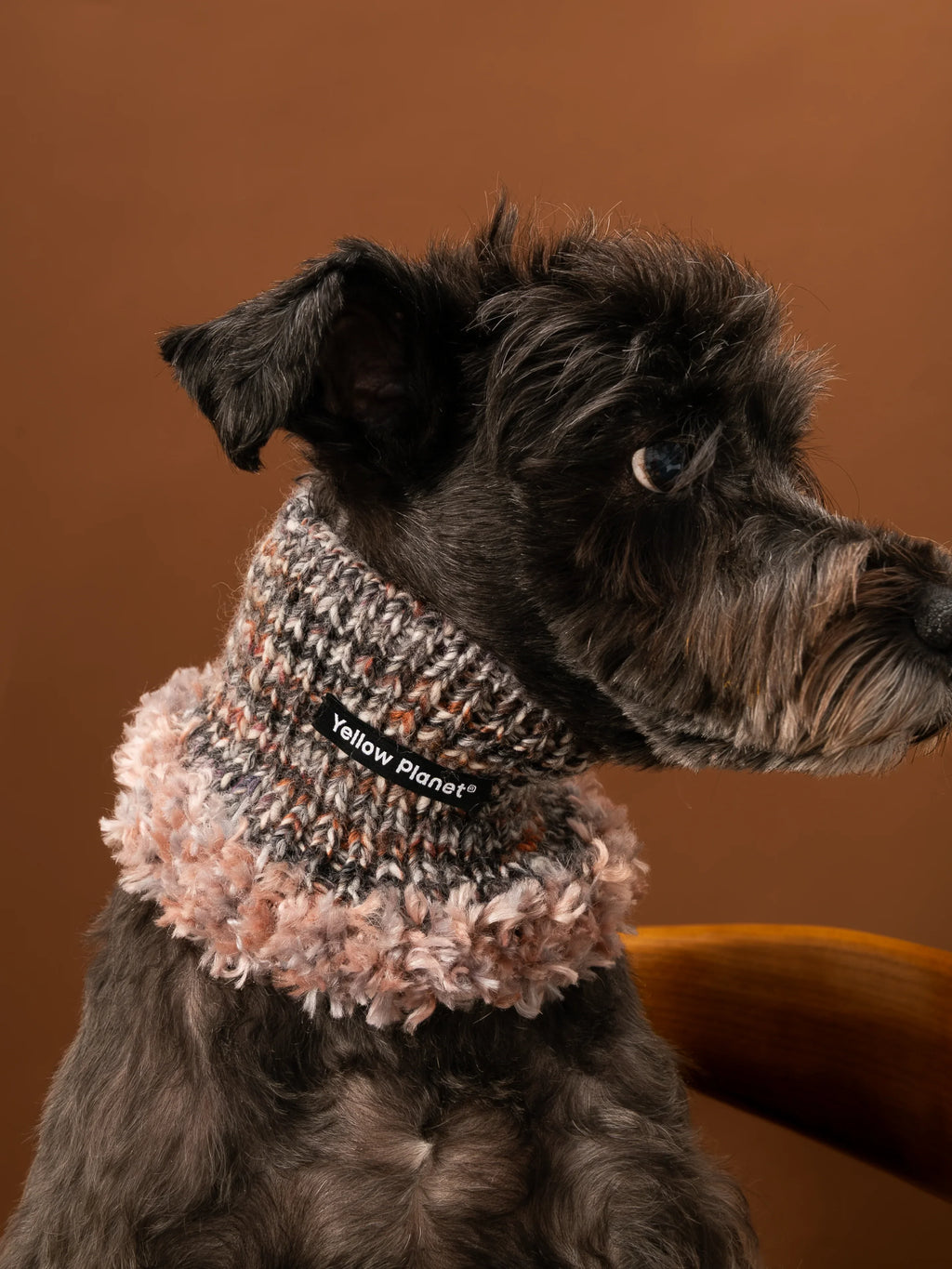 A black Miniature Schnauzer modeling the high-neck Blossom-3 luxe snood against a warm brown background.