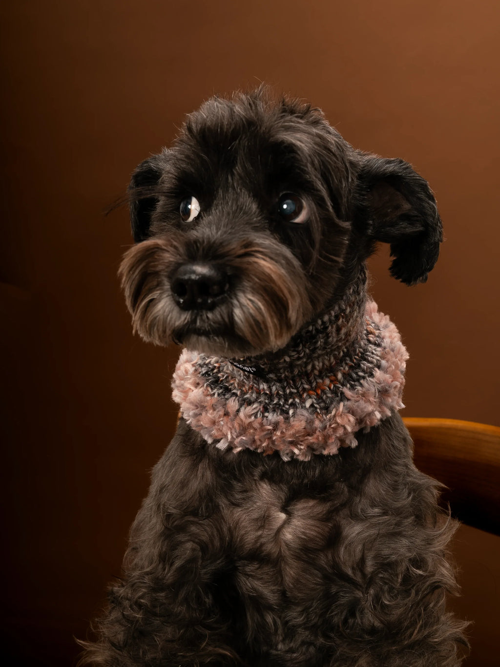 Close-up view of a dog wearing the gray and dusty rose hand-knitted wool snood, highlighting the artisanal texture.