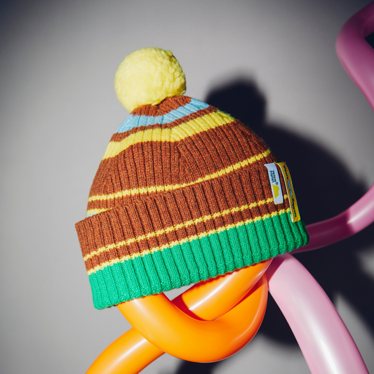 concept image of merino wool beanie with removable pom-pom for pets