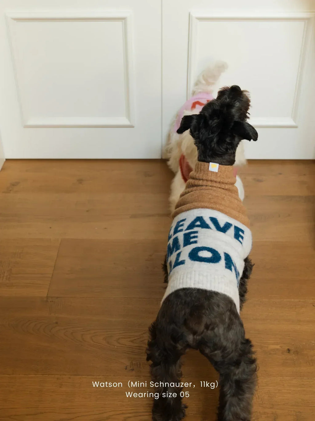 Back view of a black Miniature Schnauzer wearing the "Leave Me Alone" beige gray alpaca wool knit vest.
