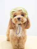 Small dog wearing Oasis 3-in-1 reversible lightweight dog cap in butter yellow with UPF 50+ sun protection