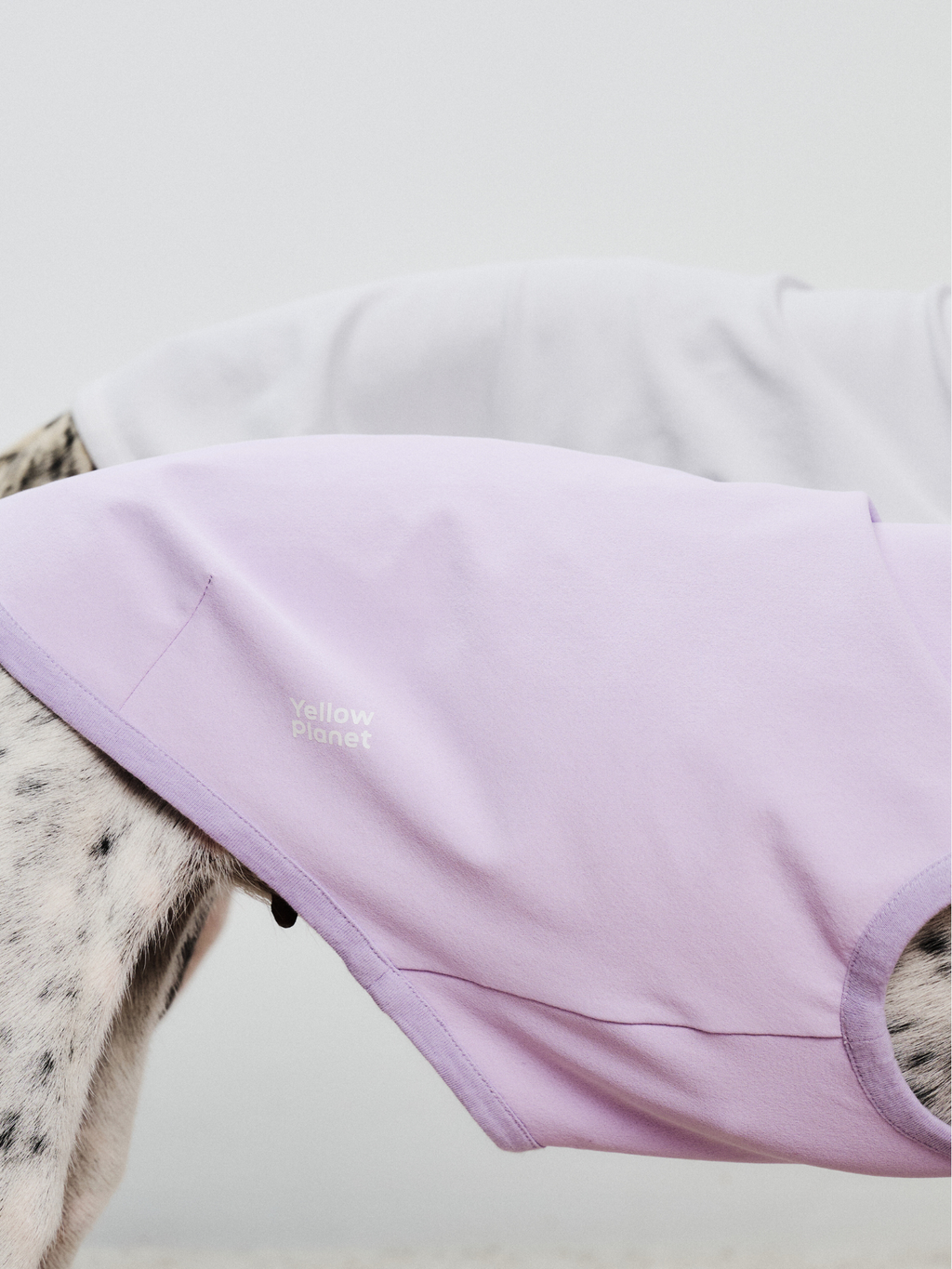 Side close-up of the back half of a dog wearing the Oasis Series 5-in-1 UV Protection Quick-Dry Pet Vest