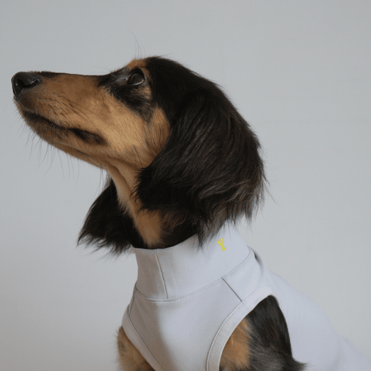 Oasis Series 5-in-1 Cooling Pet Vest – Lightweight & Stretchy Dog Shirt Light Gray