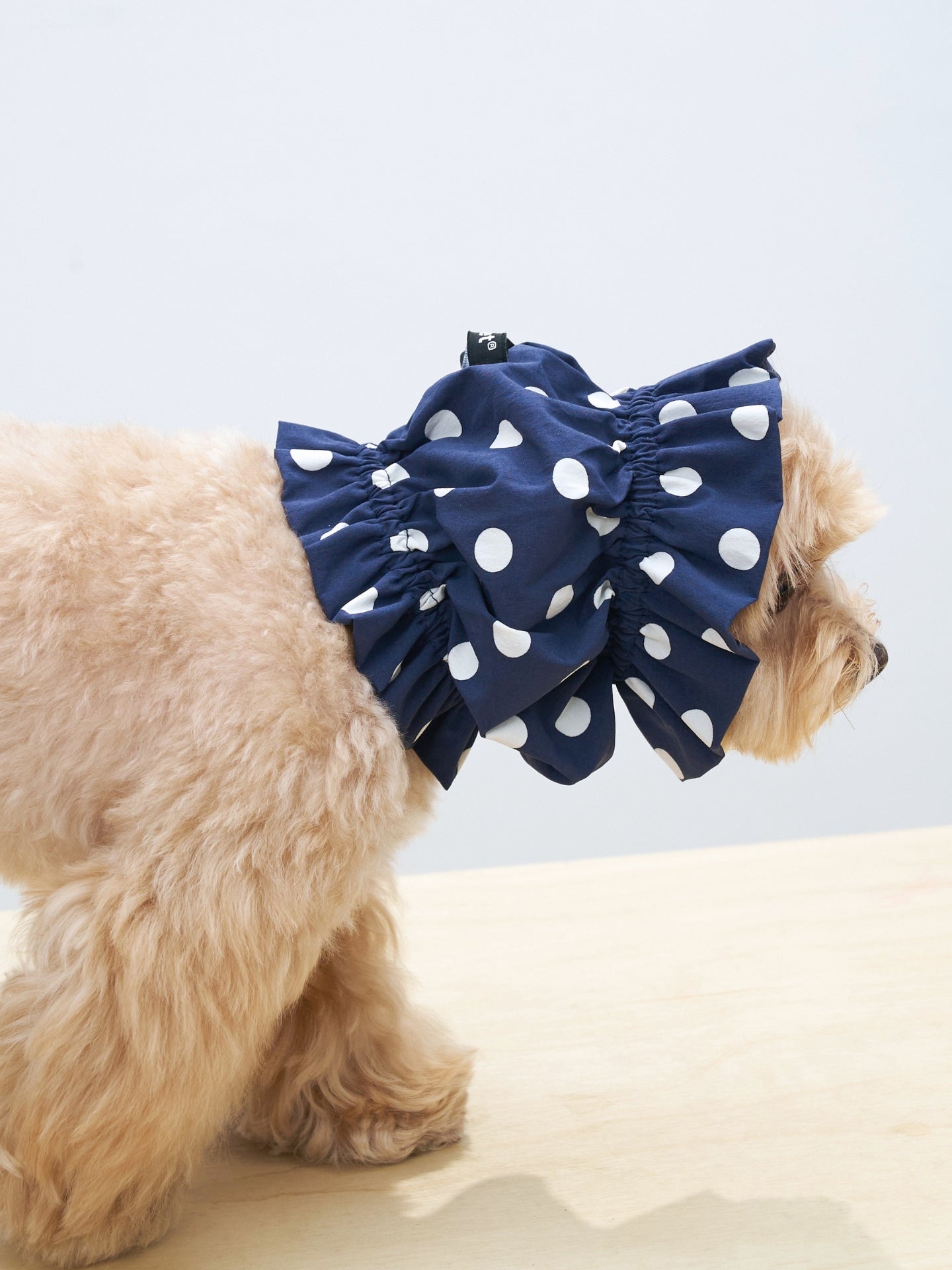 Detail of the Oasis Navy polka dot dog ear snood, showing its softly rounded shape and secure fit for long-eared dogs.