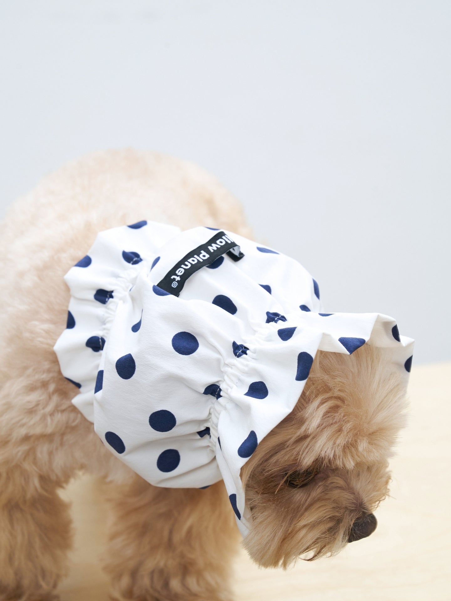 Detail of the Oasis White polka dot dog ear snood, showing its softly rounded shape and secure fit for long-eared dogs.