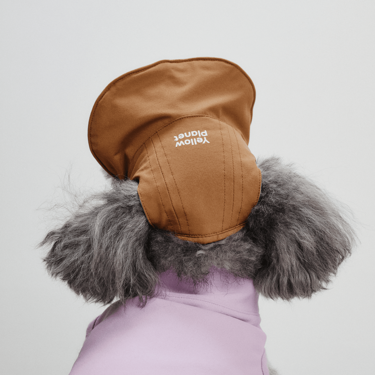 Back view close-up of dog wearing brown Oasis Series 3-in-1 Reversible Lightweight Pet Cap (Adjustable) on white background