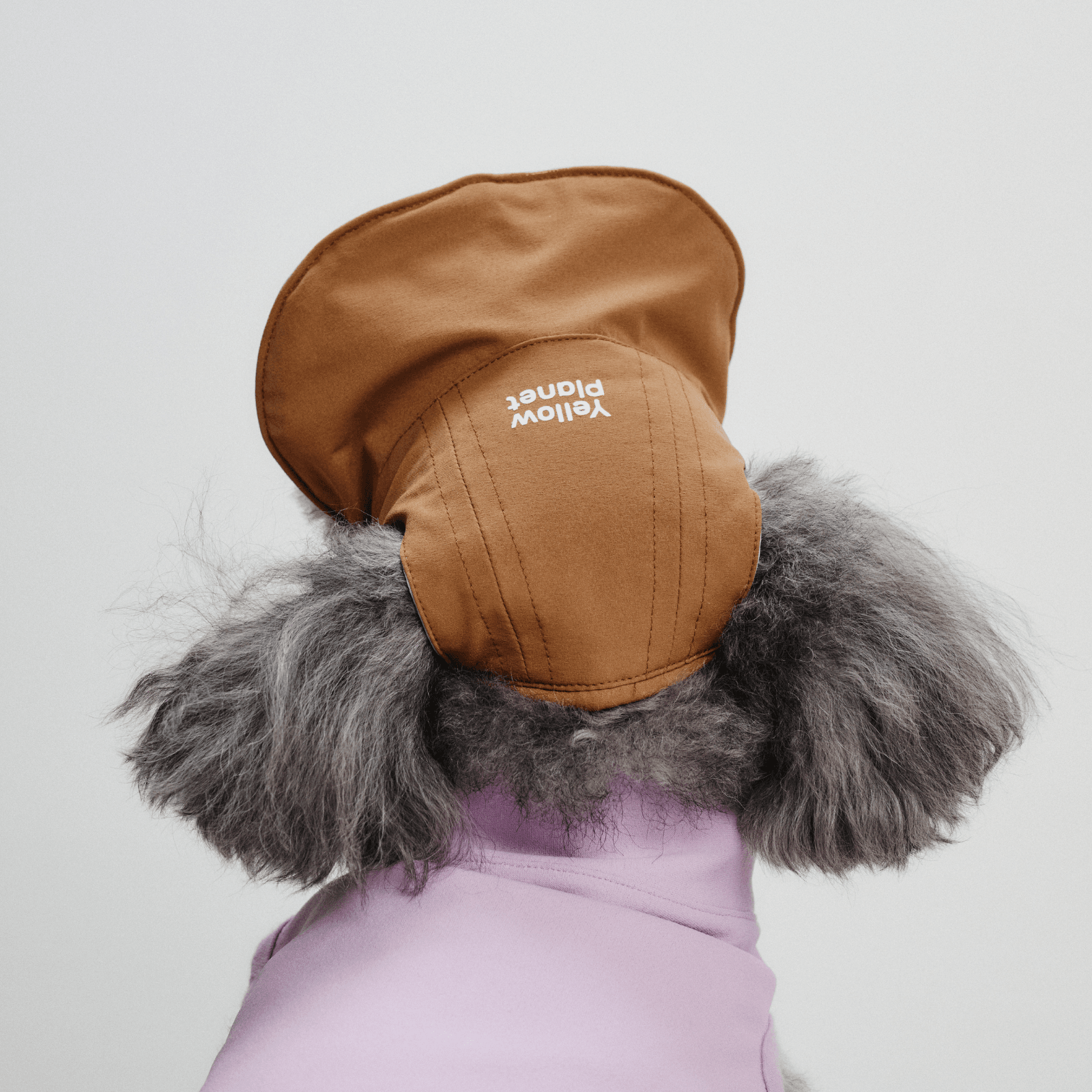 Back view close-up of dog wearing brown Oasis Series 3-in-1 Reversible Lightweight Pet Cap (Adjustable) on white background