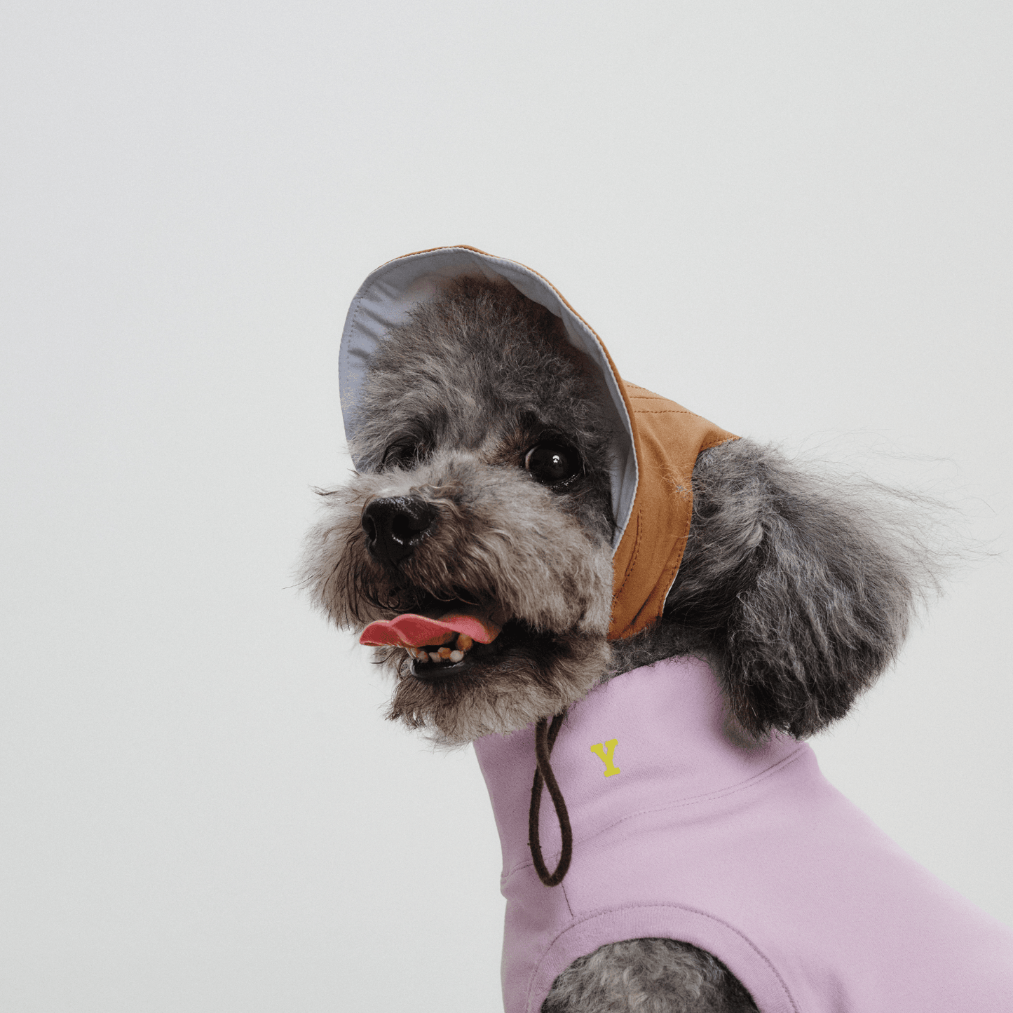Side view of dog wearing brown Oasis Series 3-in-1 Reversible Lightweight Pet Cap (Adjustable), looking back with light blue brim visible