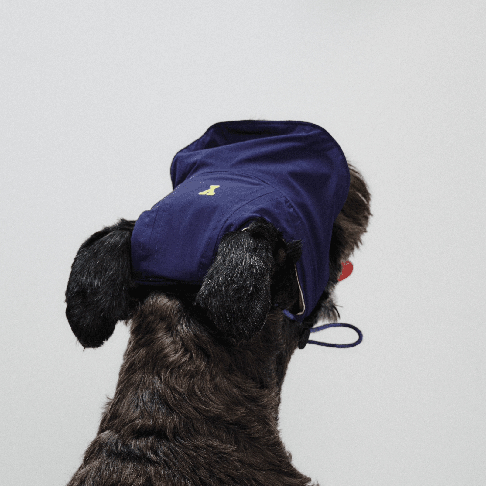 Back view close-up of dog wearing navy blue Oasis Series 3-in-1 Reversible Lightweight Pet Cap (Adjustable) on white background