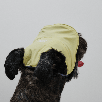 Back view close-up of dog wearing yellow Oasis Series 3-in-1 Reversible Lightweight Pet Cap (Adjustable) on white background