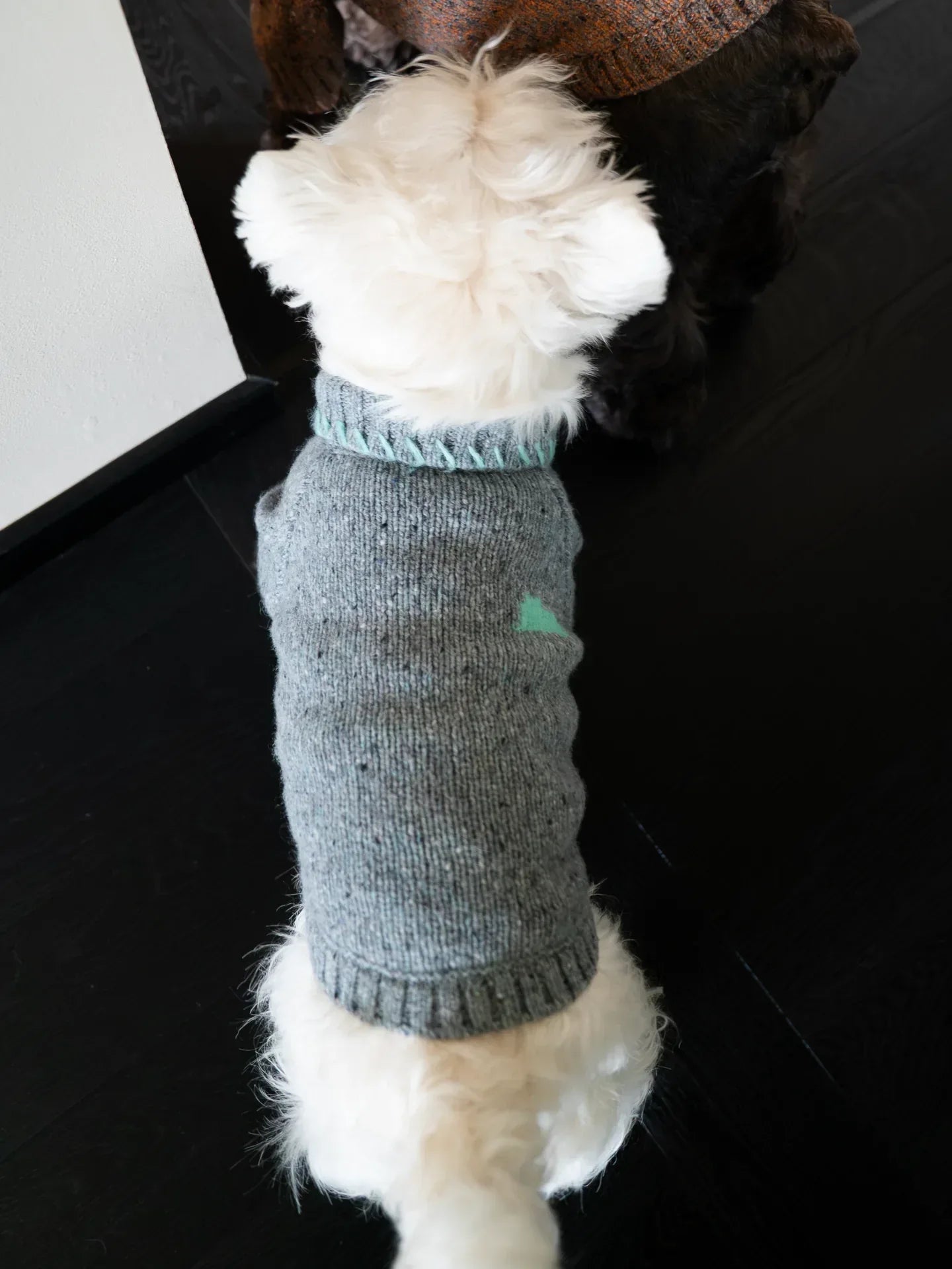 Close-up of the back of the Sage Tweed dog sweater featuring a soft mint green intarsia cloud design.