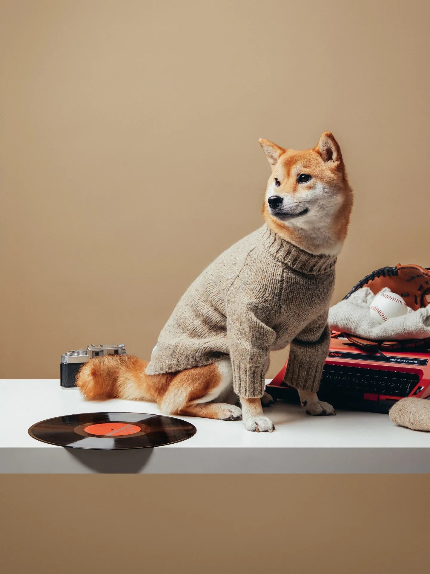 A Shiba Inu dog modeling the Walnut Tweed sweater in a vintage studio setting with a record player.