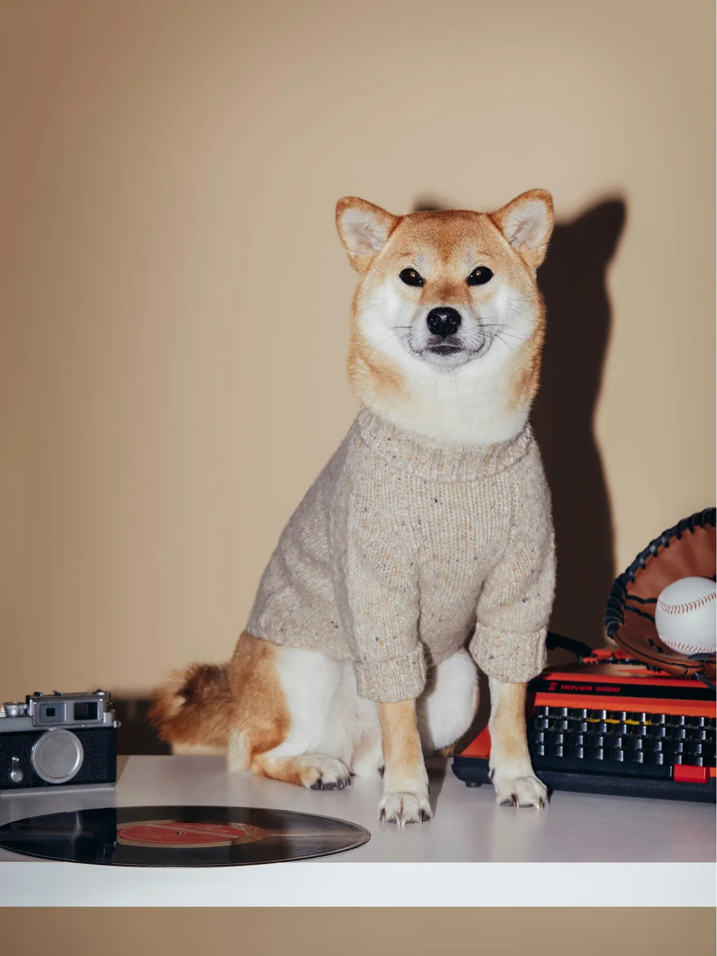 A Shiba Inu dog modeling the Oat Tweed high-neck sweater in a vintage-themed studio setting