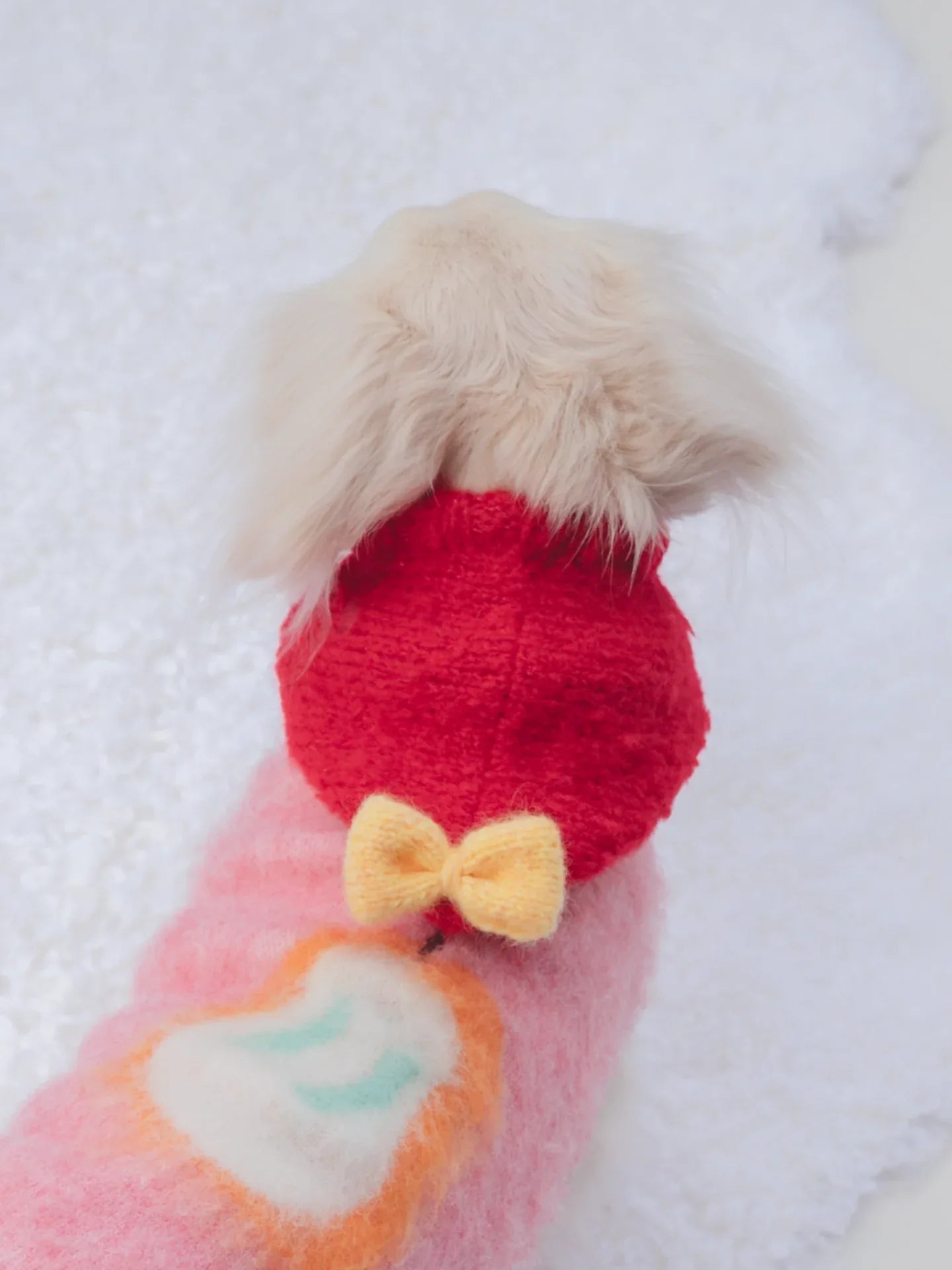 Back view of a small dog wearing the red knitted beanie, highlighting the full coverage and cozy fit for winter.