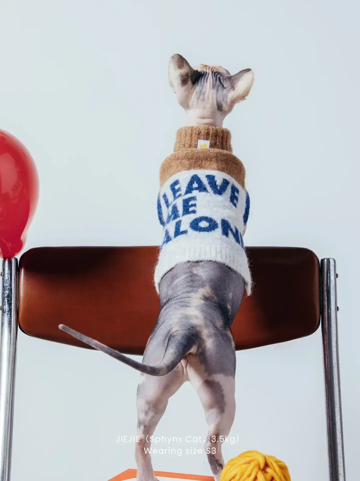 A hairless Sphinx cat modeling the "Leave Me Alone" beige gray alpaca wool knit vest on a chair.