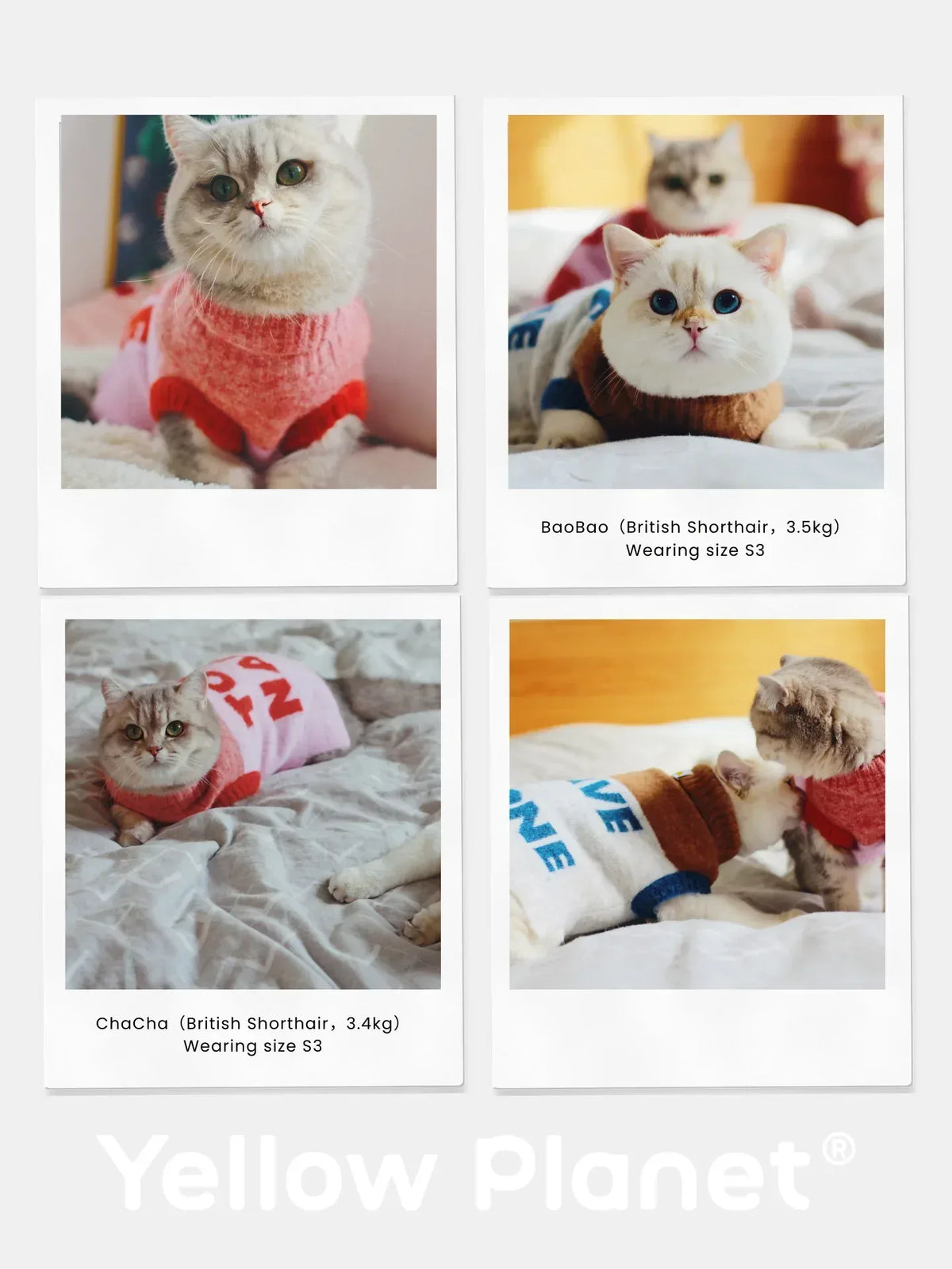 Collage of different cat breeds wearing the "Too Naive" pink and coral red alpaca wool knit vest.