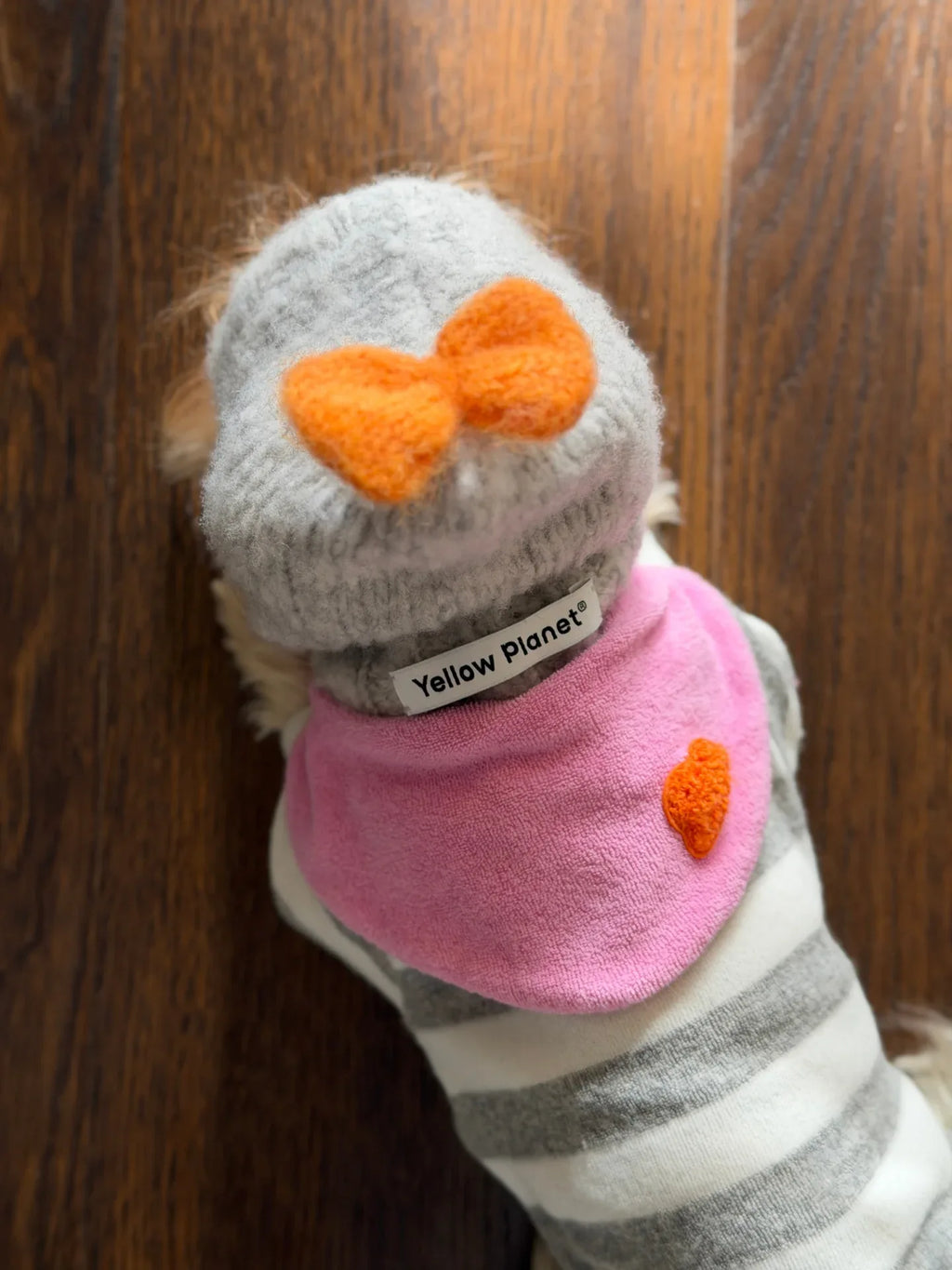 A top-down view of a dog wearing the gray beanie, highlighting the playful orange bow sitting on the crown of the head.