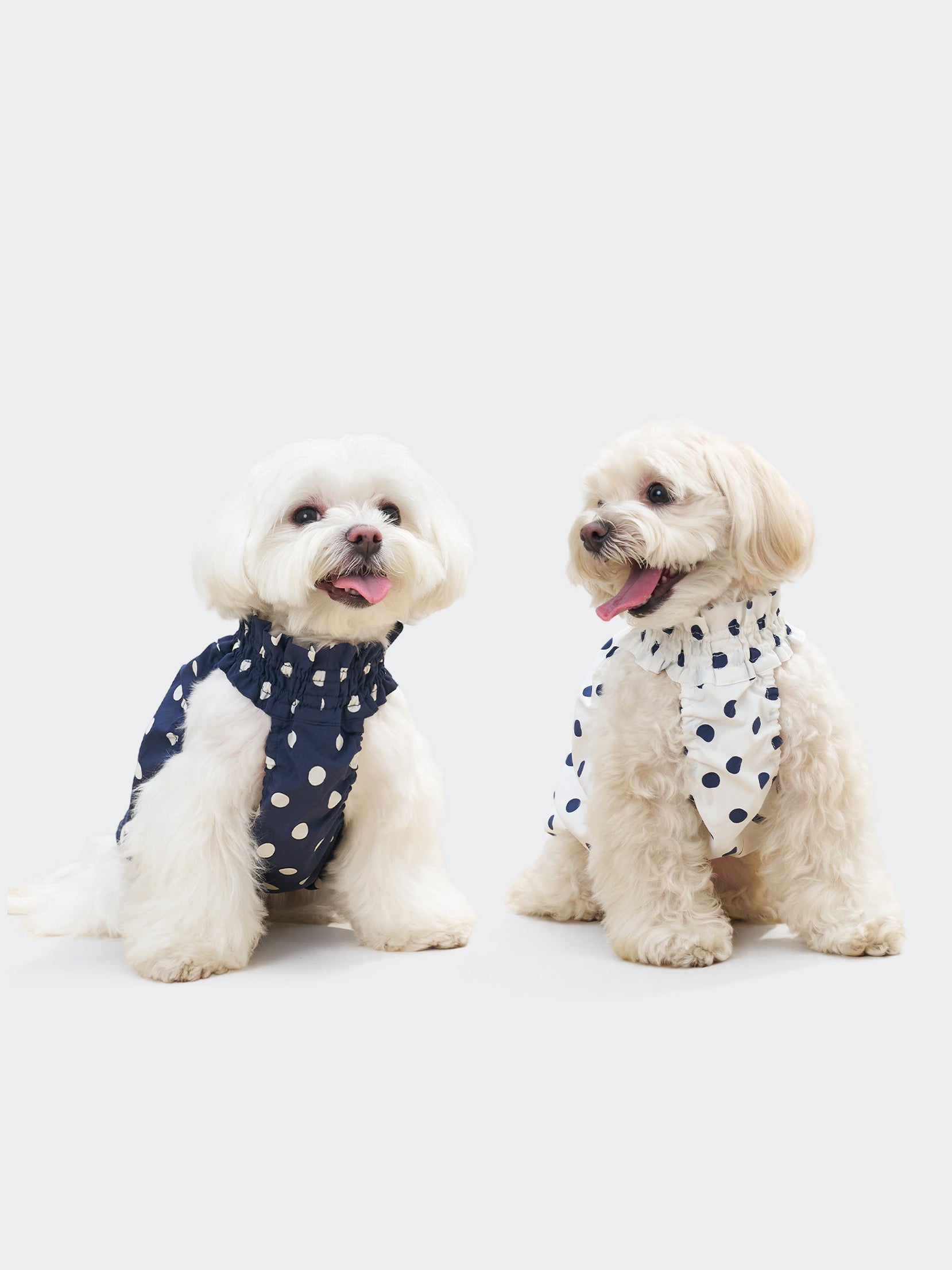Two dogs wearing Oasis Polka Dot UV Cooling Pet Tanks in White and Navy, styled in vintage-inspired polka dots for sunny outings.