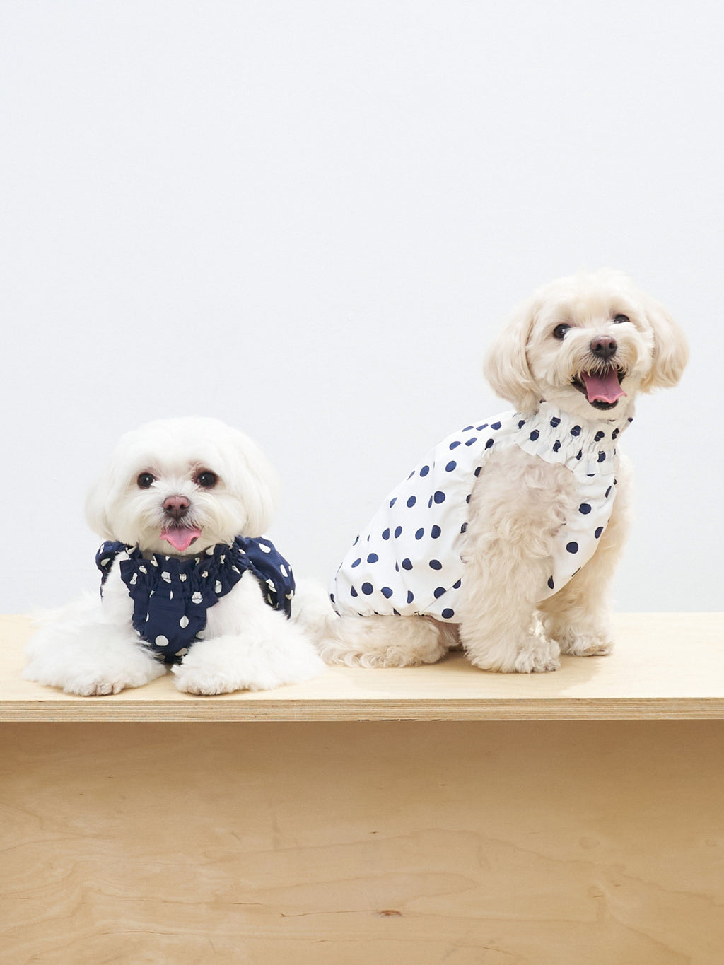 Two dogs sitting together in Oasis Polka Dot UV Cooling Pet Tanks, one in Navy and one in White, with classic polka dot styling.