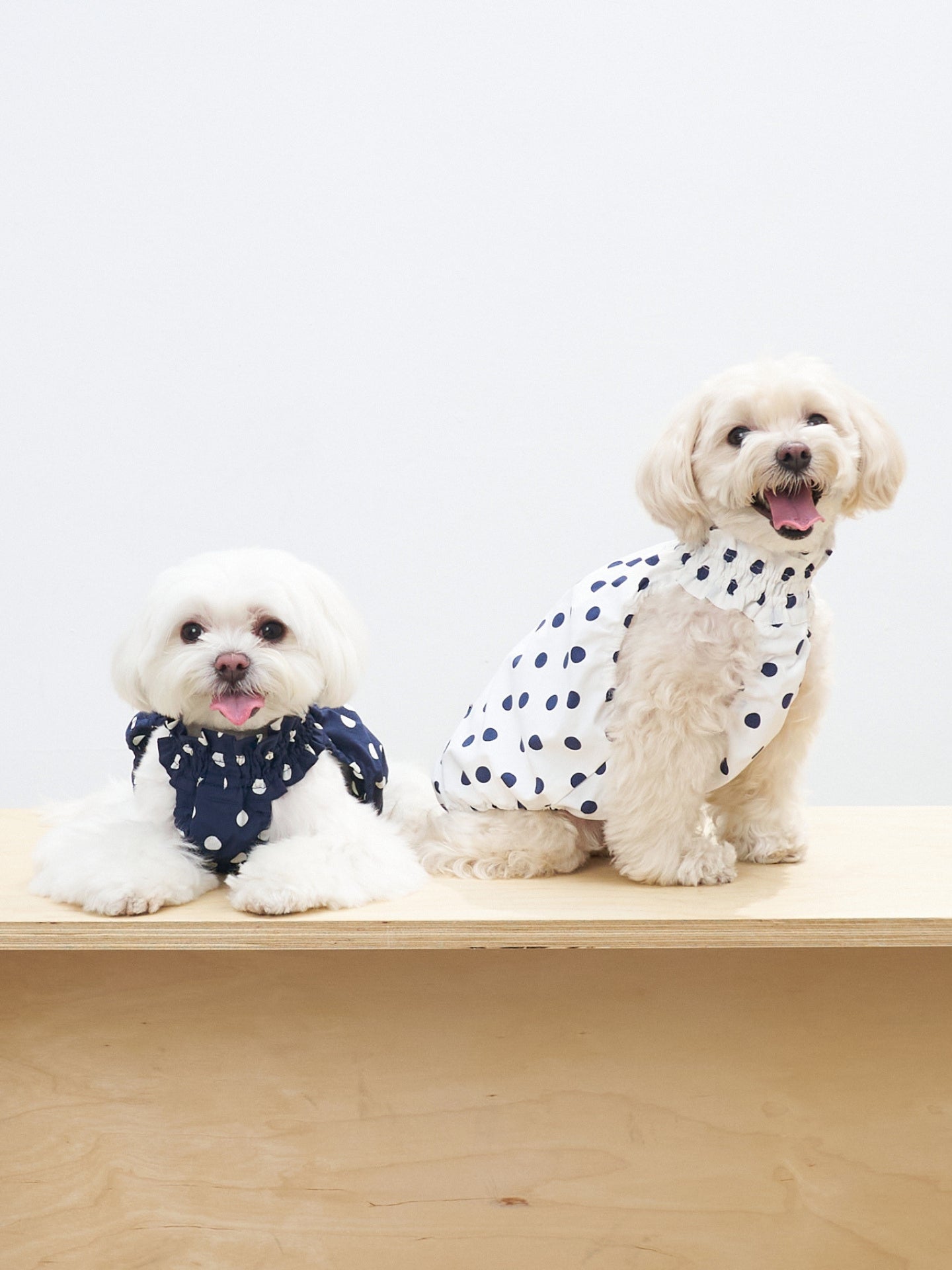 Two dogs sitting together in Oasis Polka Dot UV Cooling Pet Tanks, one in Navy and one in White, with classic polka dot styling.