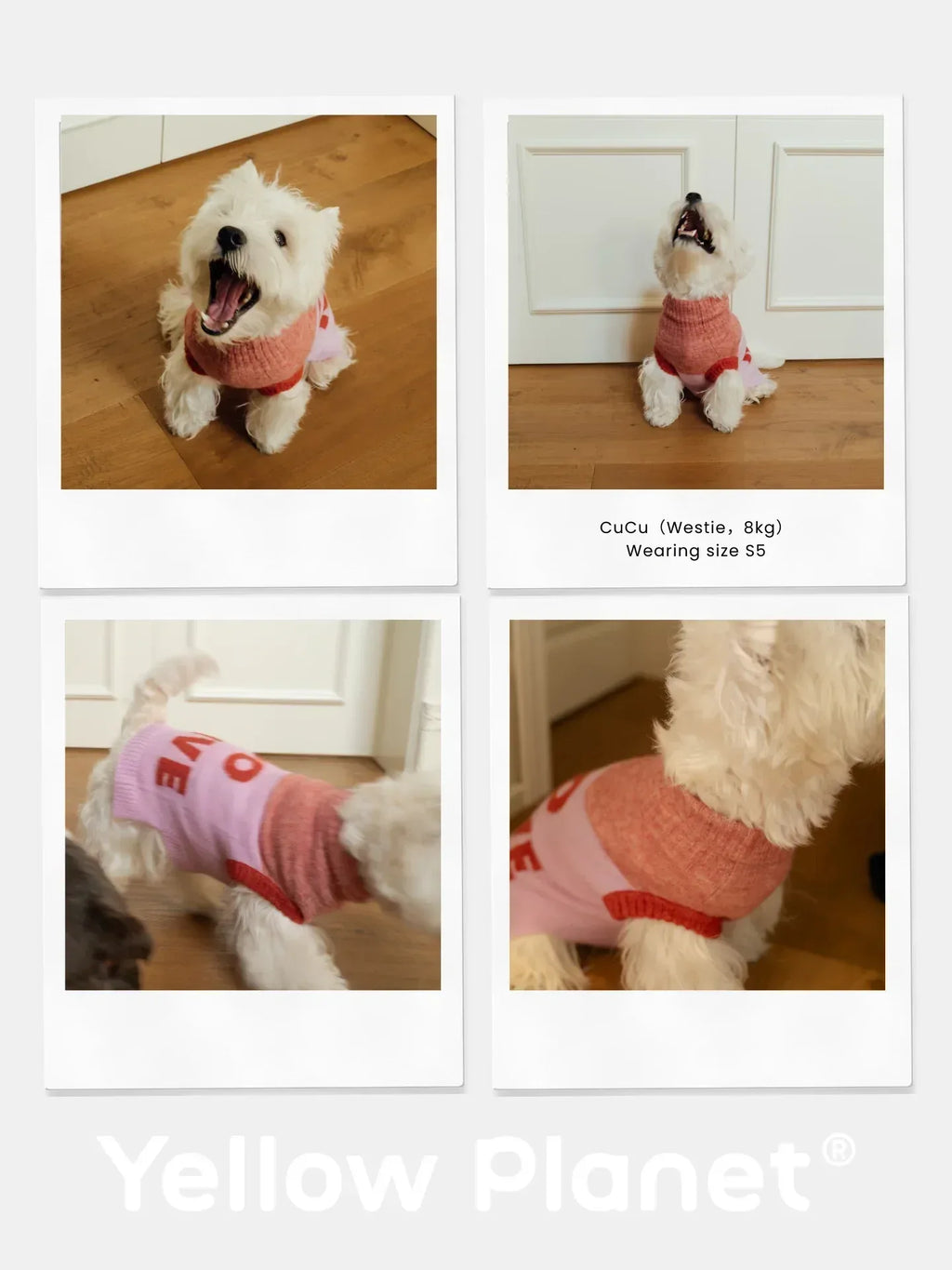 Collage featuring a Westie dog wearing the pink and coral red "Too Naive" pet knit vest in various poses.