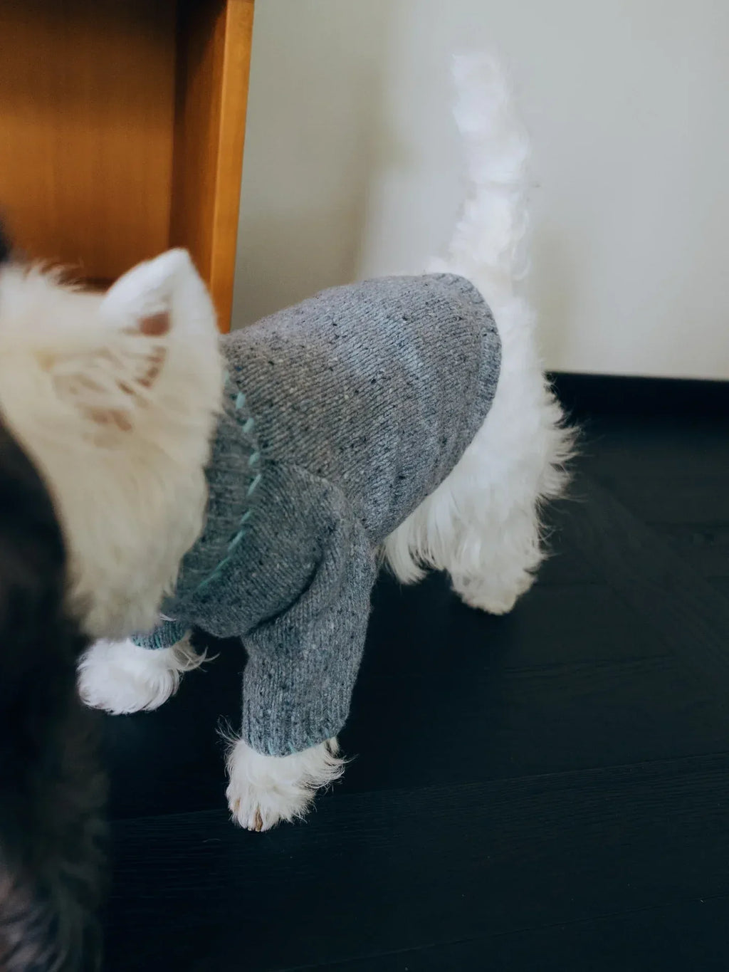 Back view of a West Highland White Terrier (Westie) wearing the Sage Tweed sweater, showing the mint green intarsia cloud detail.